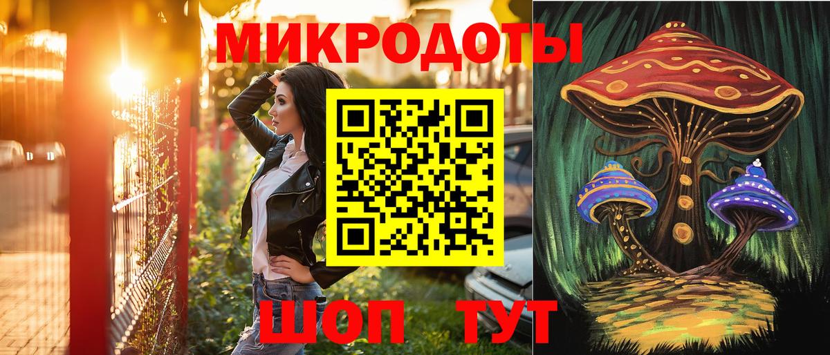 Галлюциногенные грибы Psilocybine cubensis Асбест